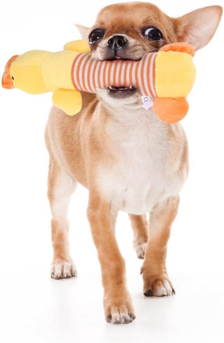 Hondenspeelgoed piepspeelgoed pluche knijpspeelgoed diervorm types huisdier speelgoed puppy kat kauwen geluid leuk huid stuffless geweldig voor tug & interactief speelgoed