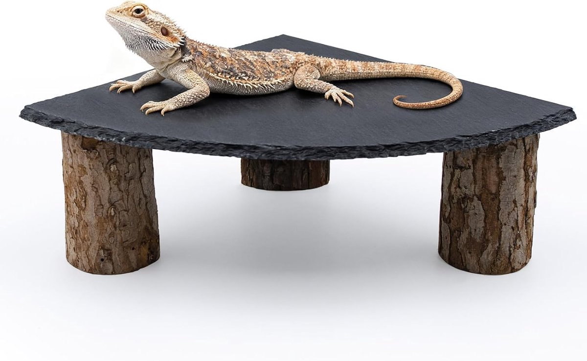 Badplatform met Schaliesteen en houten batterijen, verstoppels en grotten voor gekko, luipaard, accessoires voor reptielen voor draken, baard, gekko, pythons, schildpadden, 20 × 20 cm