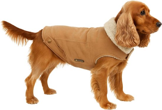 Spaniel hond draagt een beige corduroy hondenjas met witte pluche kraag, zijwaarts aanzicht.