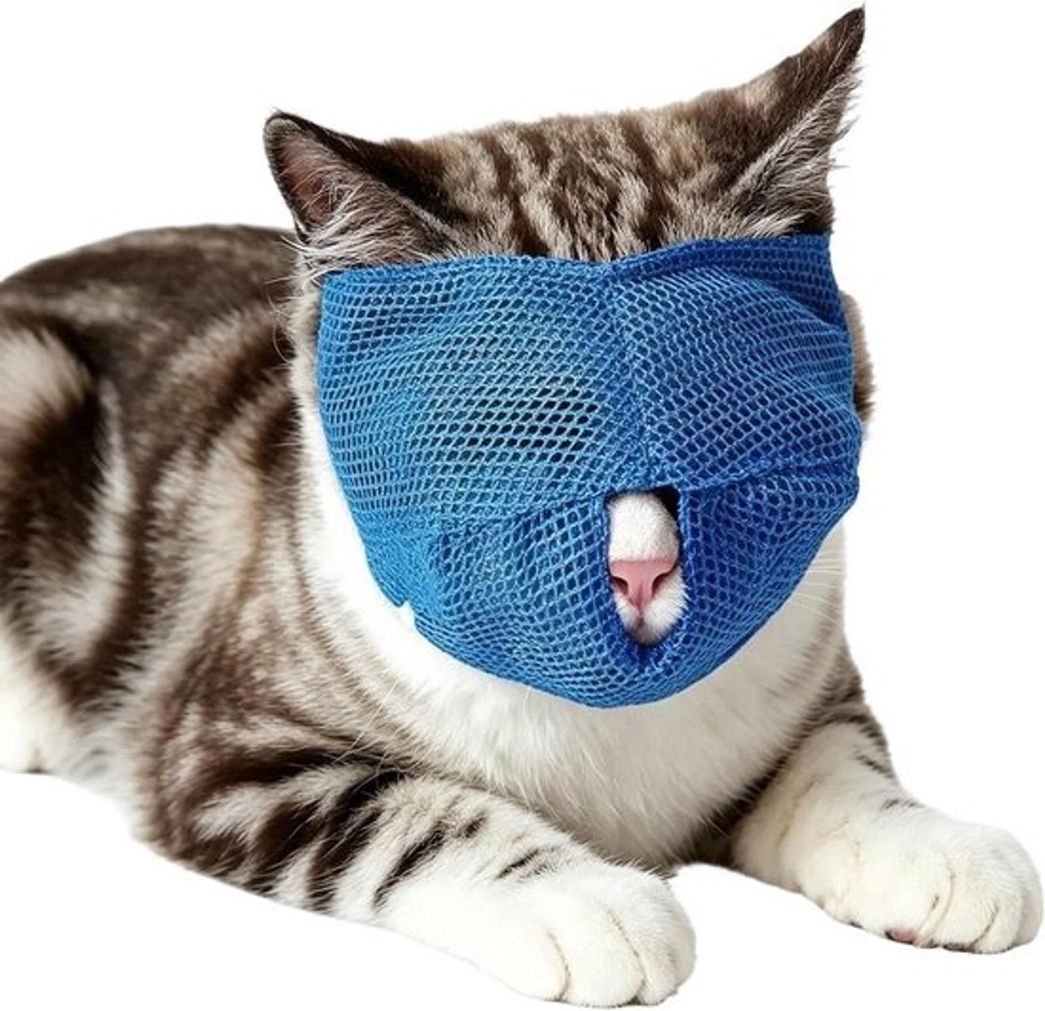 Kattenmuilkorf - Mondkap voor katten - Verzorging - Ademend meshmateriaal - Nekomtrek 18-26 cm - Blauw