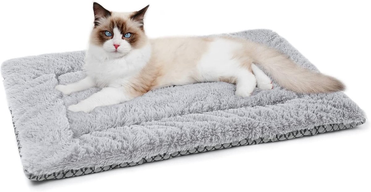 Huisdier Kussen, Super Zachte Pluche Hondenbed Mat, Dubbelzijdig Wasbare Katten Hondendeken Huisdier Bank Pad, Ademend, Opvouwbaar, 60*42cm, Geschikt voor Reizen Naar Huis Binnen Buiten