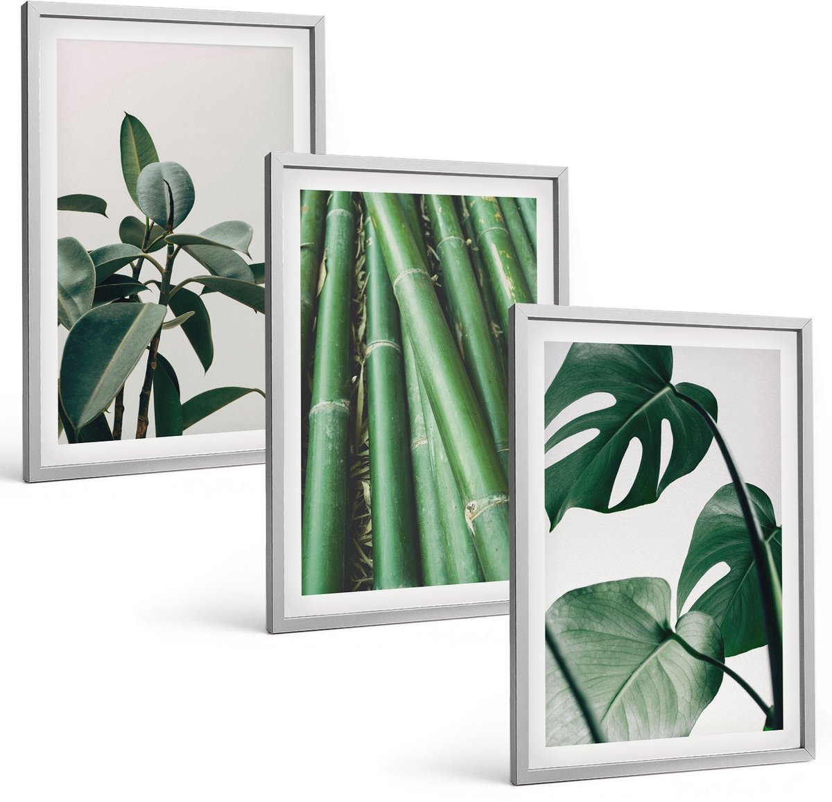 Coloray 3-Delige Schilderij Set - Bamboe Stengels, Kamerplanten En Monstera Bladeren - 40 x 60 cm - Muurdecoratie - Wanddecoratie - Slaapkamer - Woonkamer Decoratie