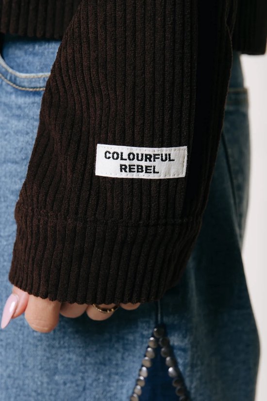 Detail van het mouwembleem met tekst 'COLOURFUL REBEL' op een bruine corduroy jas.