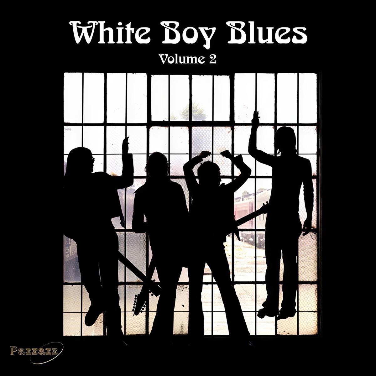 Various Artists - The Blues Connection (CD)