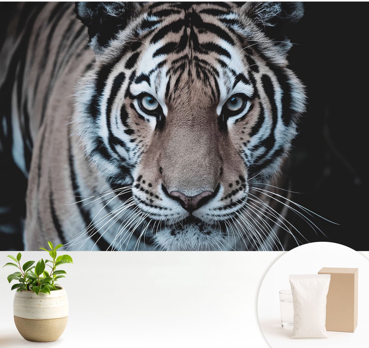 Wallfluent Fotobehang - Zwart Vliesbehang - 104x70 cm - Tijgerportret Fotobehang Vlies - Hal behang Dieren - Muurschildering - Woonkamer behang