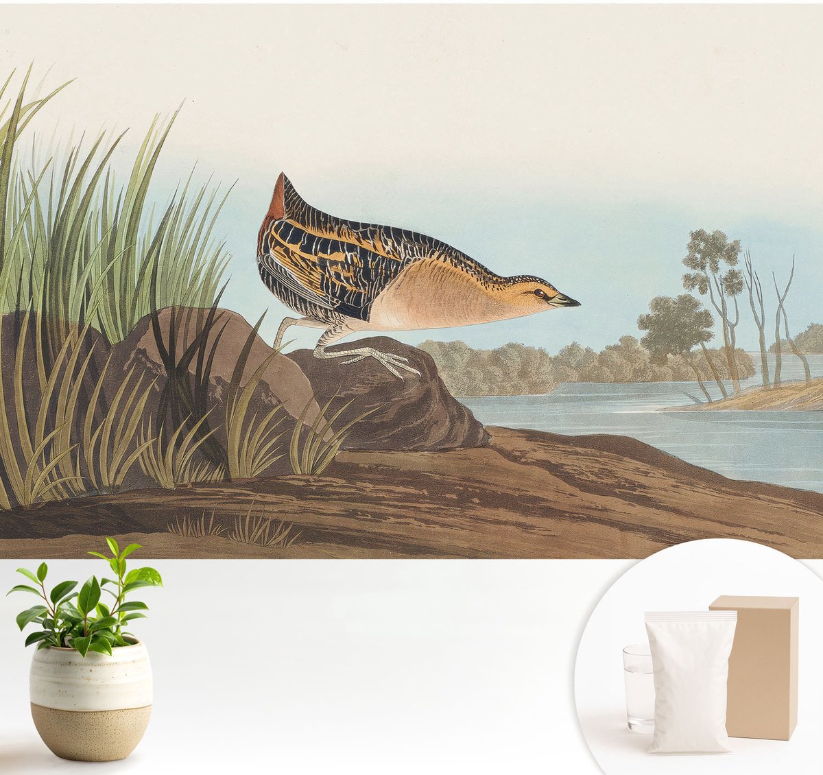 Wallfluent Fotobehang - Groente Vliesbehang - 104x70 cm - Natuurlijke Scène Muurschildering - Slaapkamer behang Dieren - Fotobehang Vlies - Slaapkamer behang
