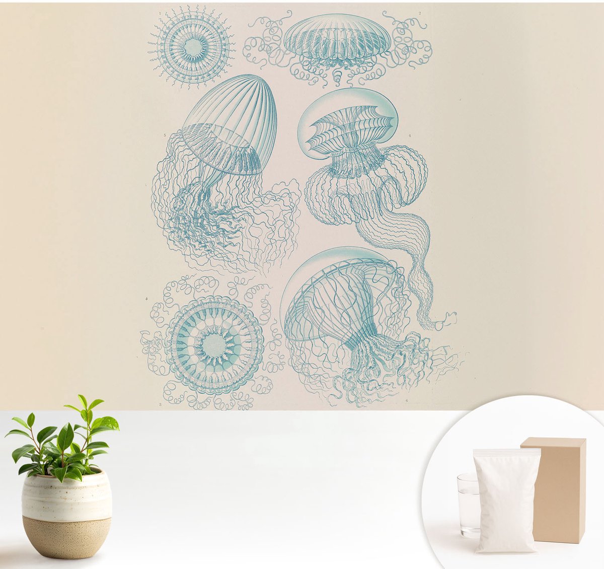 Wallfluent Fotobehang - Wit Vliesbehang - 104x70 cm - Zeekwal Fotobehang Vlies - Hal behang Deel - Muurschildering - Woonkamer behang