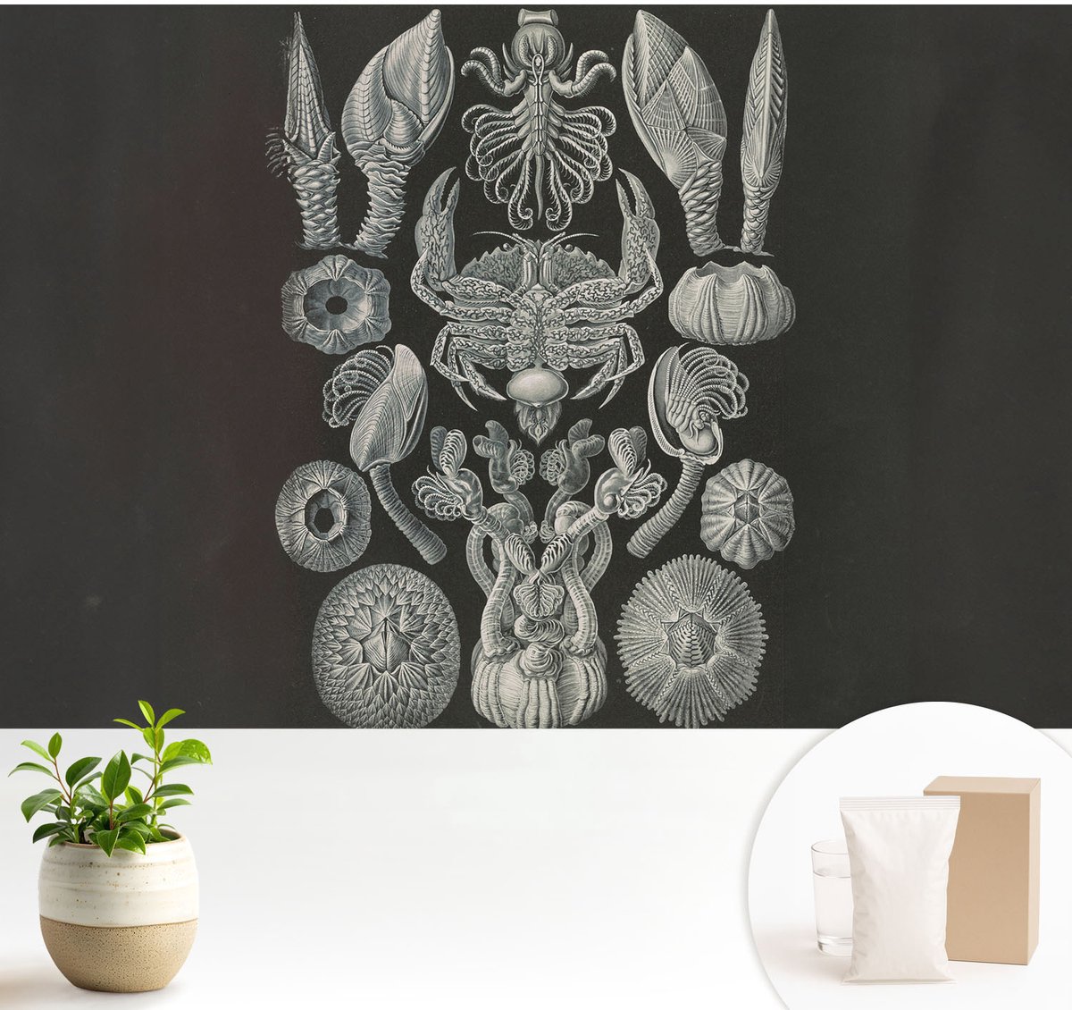 Wallfluent Fotobehang - Zwart Vliesbehang - 104x70 cm - Onderwatervormen Muurschildering - Slaapkamer behang Abstractie - Fotobehang Vlies - Gang behang