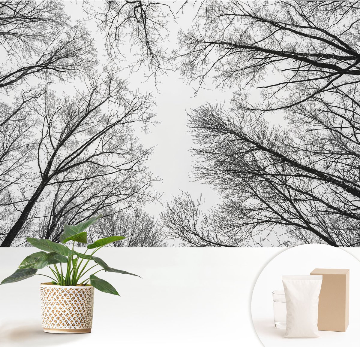 Wallfluent Fotobehang - Zwart-Wit Vliesbehang - 152x104 cm - Kale Takken Muurschildering - Slaapkamer behang Landschappen - Fotobehang Vlies - Slaapkamer behang