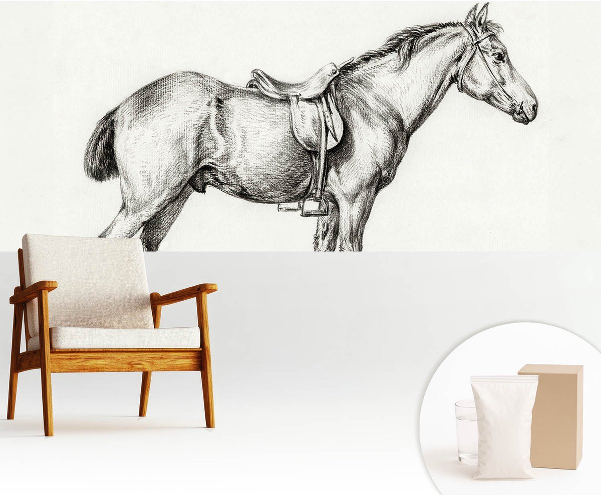 Wallfluent Fotobehang - Zwart-Wit Vliesbehang - 250x104 cm - Schets Van Een Paard Fotobehang Vlies - Hal behang Dieren - Muurschildering - Woonkamer behang