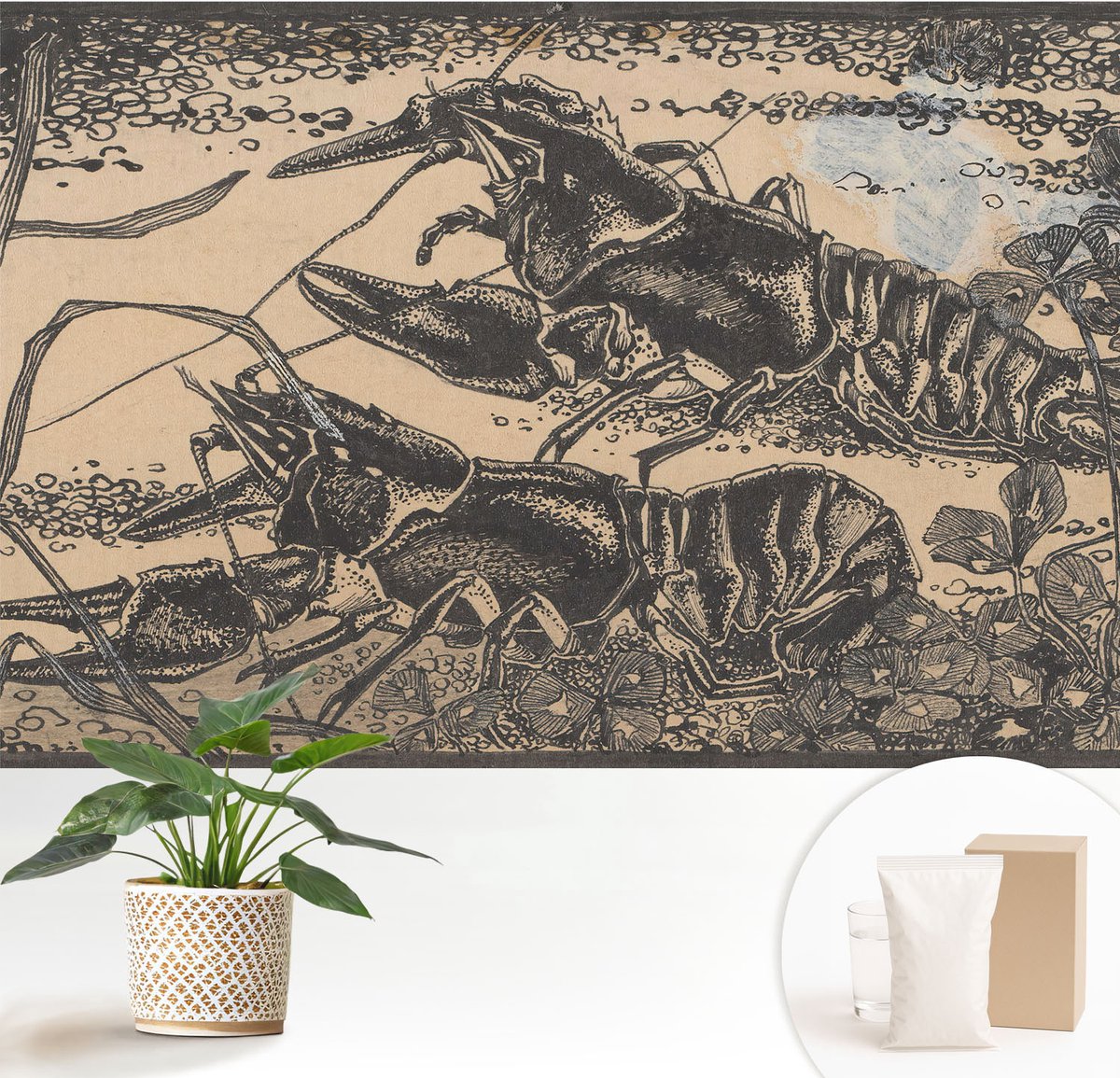 Wallfluent Fotobehang - Zwart Vliesbehang - 152x104 cm - Waterkreeft Muurschildering - Slaapkamer behang Dieren - Fotobehang Vlies - Slaapkamer behang