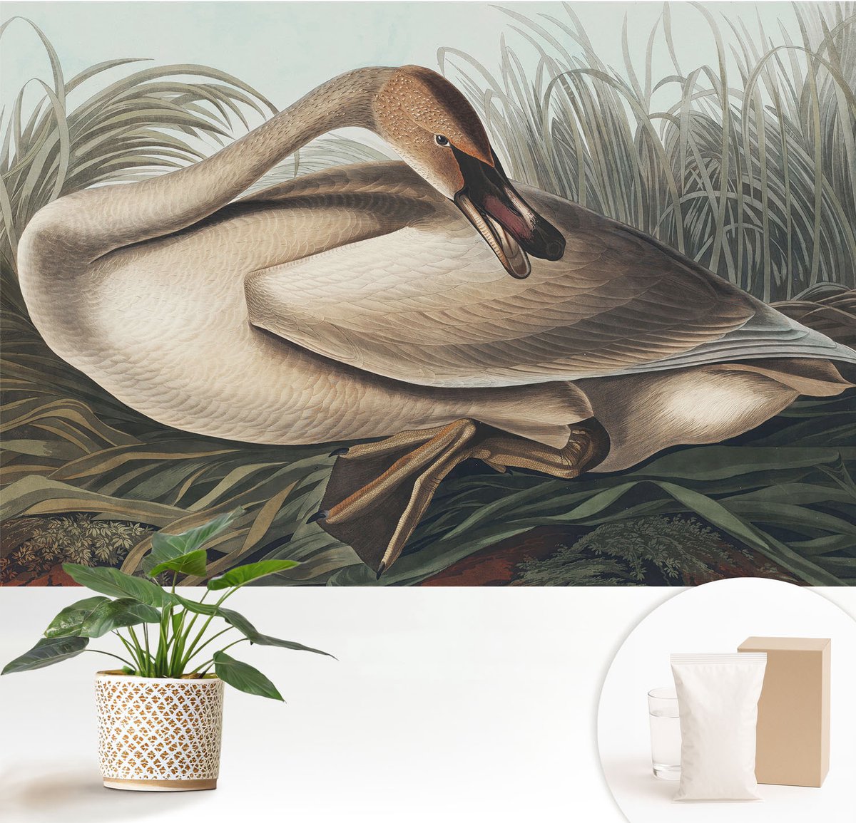 Wallfluent Fotobehang - Bruin Vliesbehang - 152x104 cm - Natuurlijke Vogel Fotobehang Vlies - Hal behang Dieren - Muurschildering - Hal behang