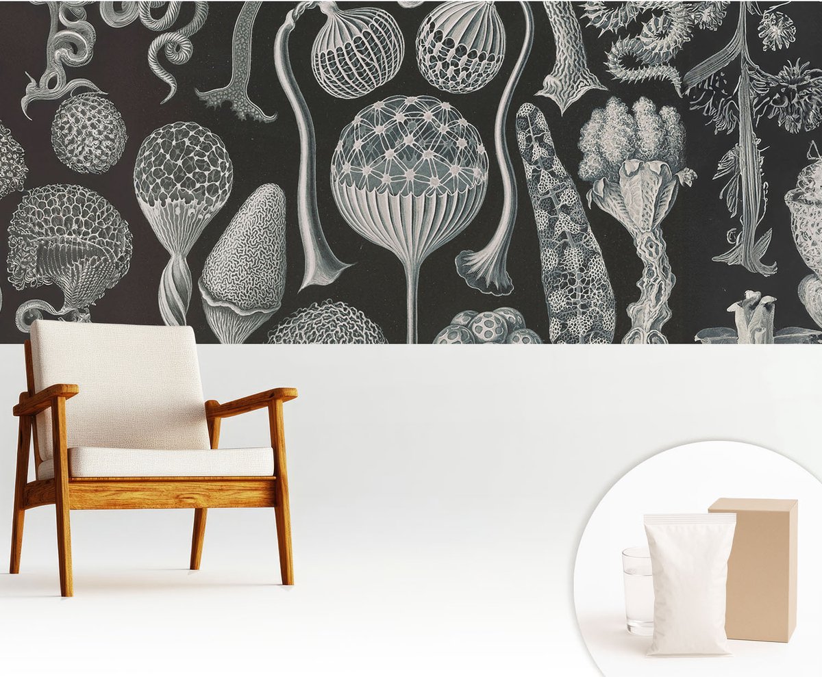 Wallfluent Fotobehang - Zwart Vliesbehang - 250x104 cm - Magische Planten Fotobehang Vlies - Hal behang Deel - Muurschildering - Woonkamer behang