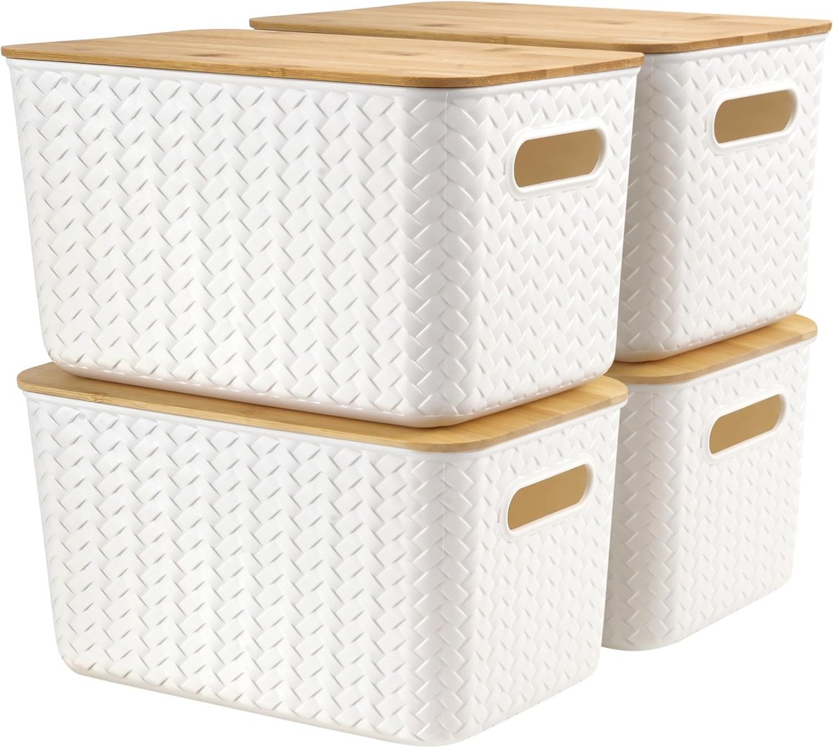 Shore Grote Opslag Dozen met Deksels, Plastic Opslagmand (4 Pak)