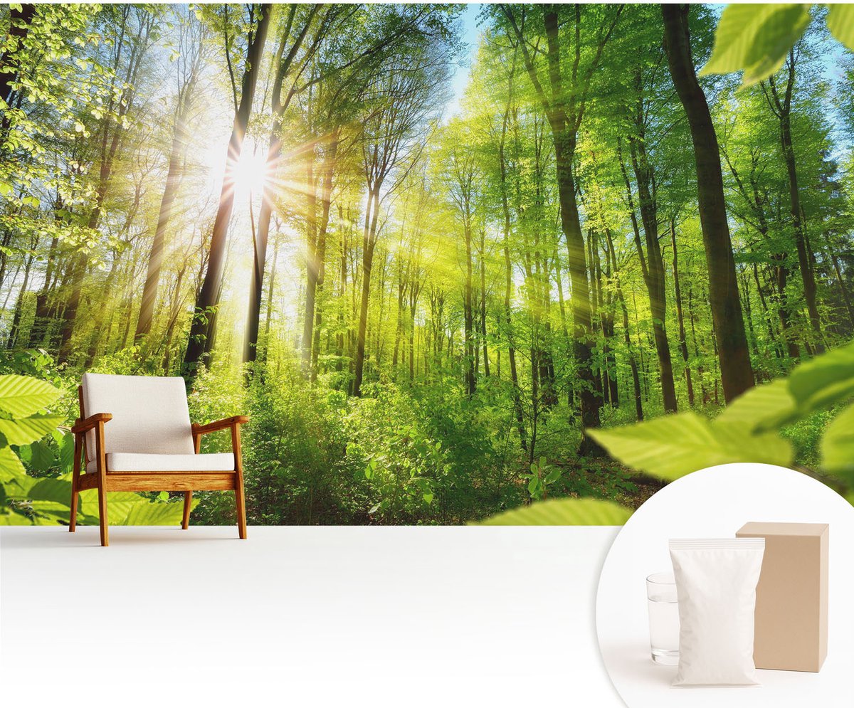 Wallfluent Fotobehang - Groente Vliesbehang - 416x254 cm - Boslicht Muurschildering - Slaapkamer behang Landschappen - Fotobehang Vlies - Slaapkamer behang
