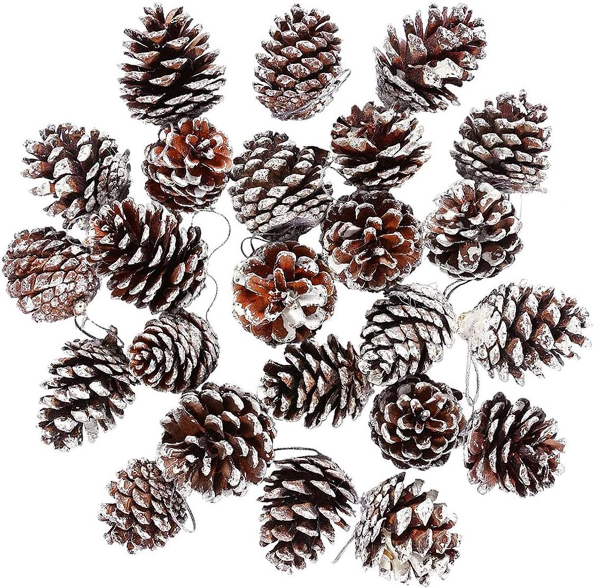 Dennenappels Natuurlijke Dennenappels Dennenappelboomversieringen Kerstboomversieringen Dennenappels voor Cadeaukaartjes Kerstboom Feest Hangende Decoratie 30 Stuks (Wit)