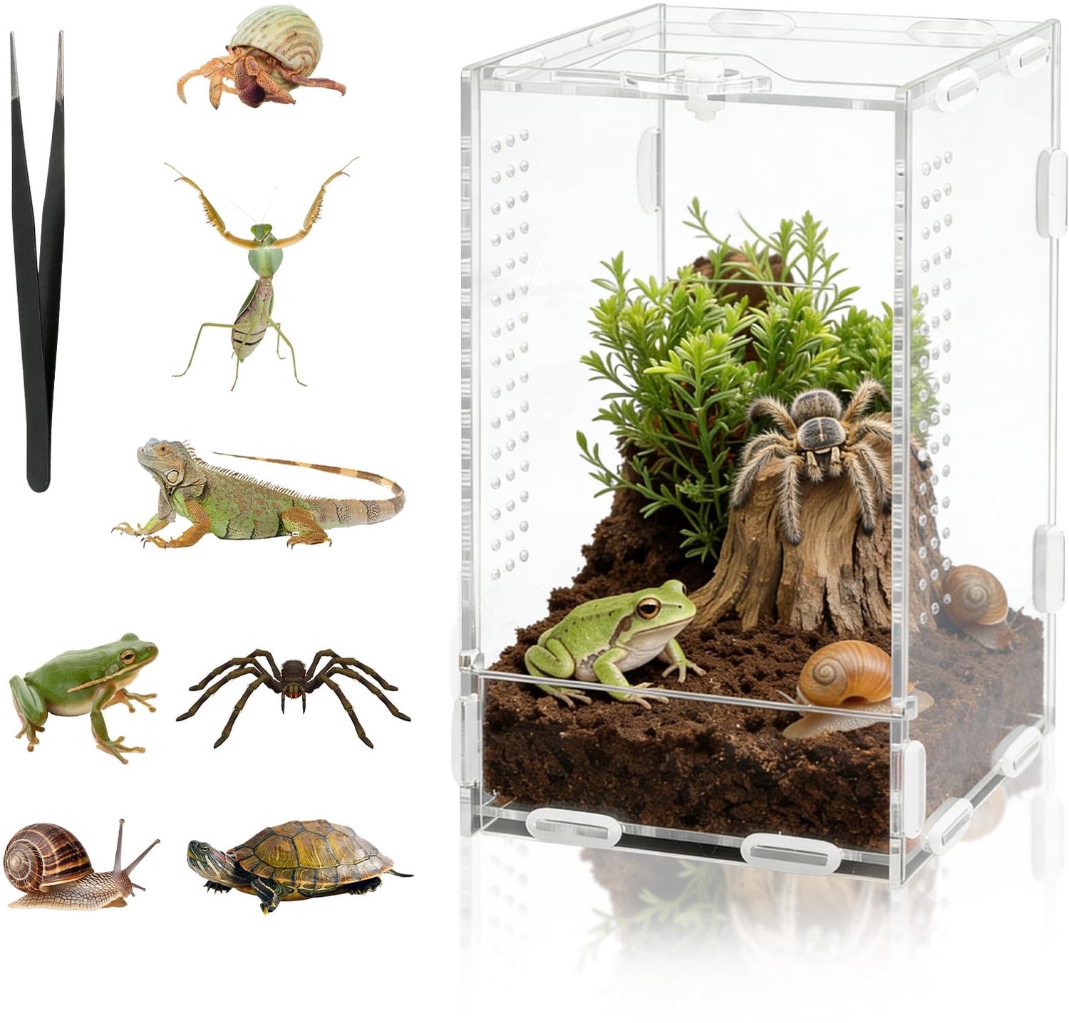Reptiel Terrarium Box van Acryl