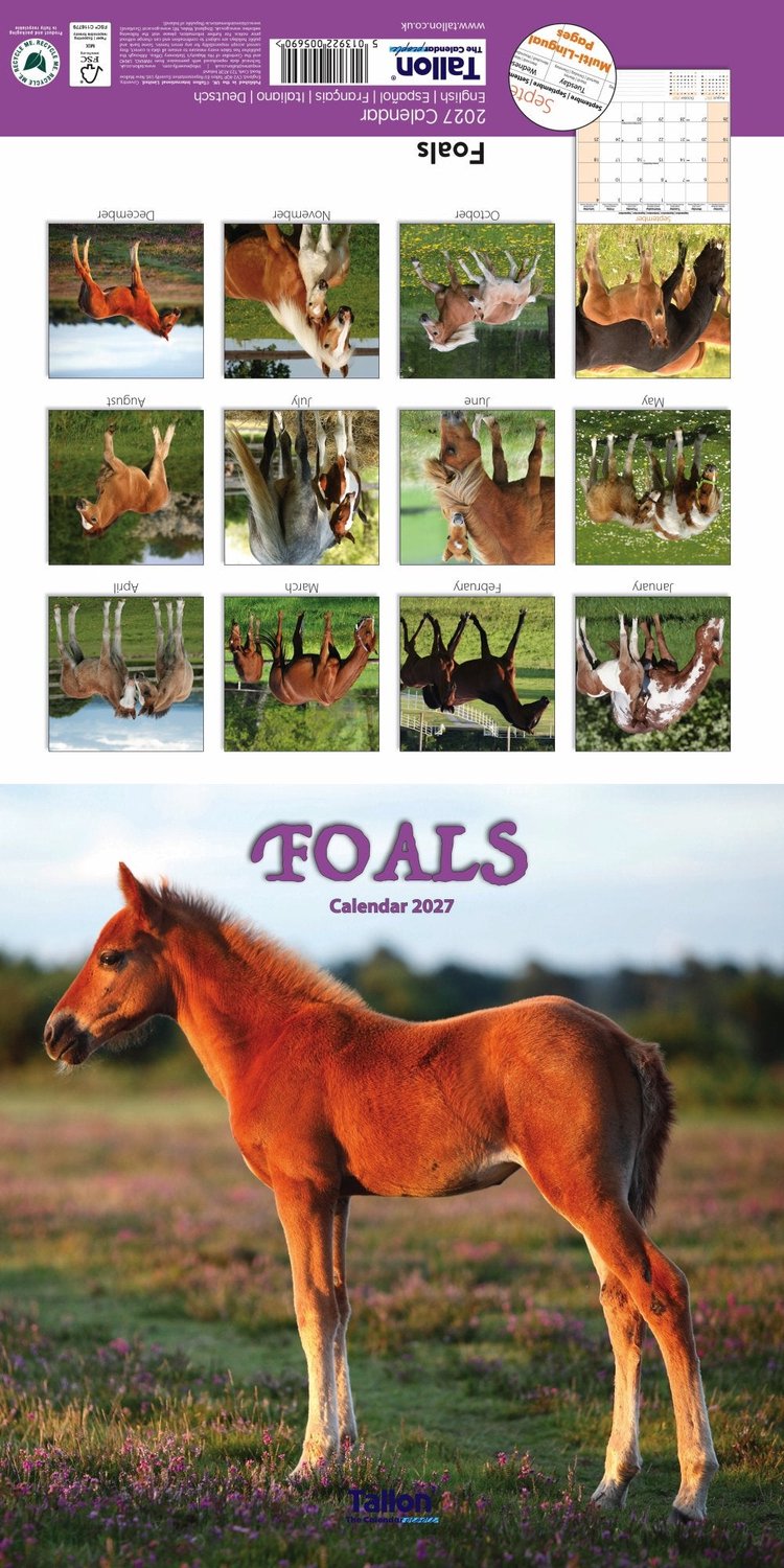 Donkeys, Horses & Foals Kalender 2027