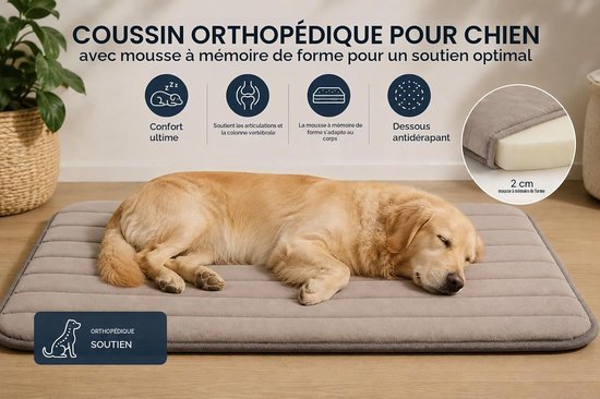 Gouden retriever slaapt op een orthopedisch kussen met tekst over traagschuim en antislip eigenschappen.