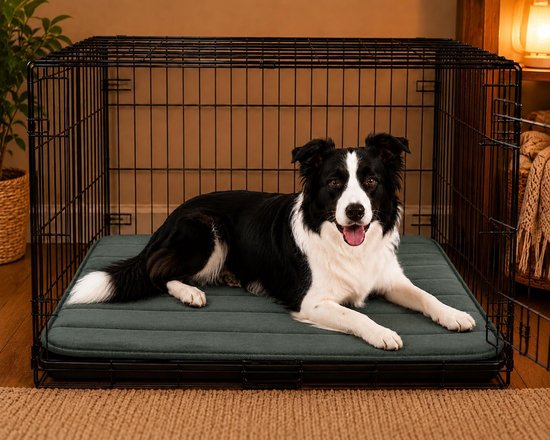 Bordercollie ligt ontspannen op een grijsgroen kussen in een zwarte metalen hondenbench.
