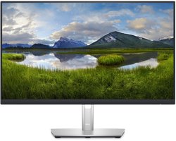 Dell P2423D - LED-skaerm - QHD - 24 -