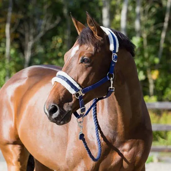Halster voor paarden Horze Howard Halster voor paarden Horze Howard