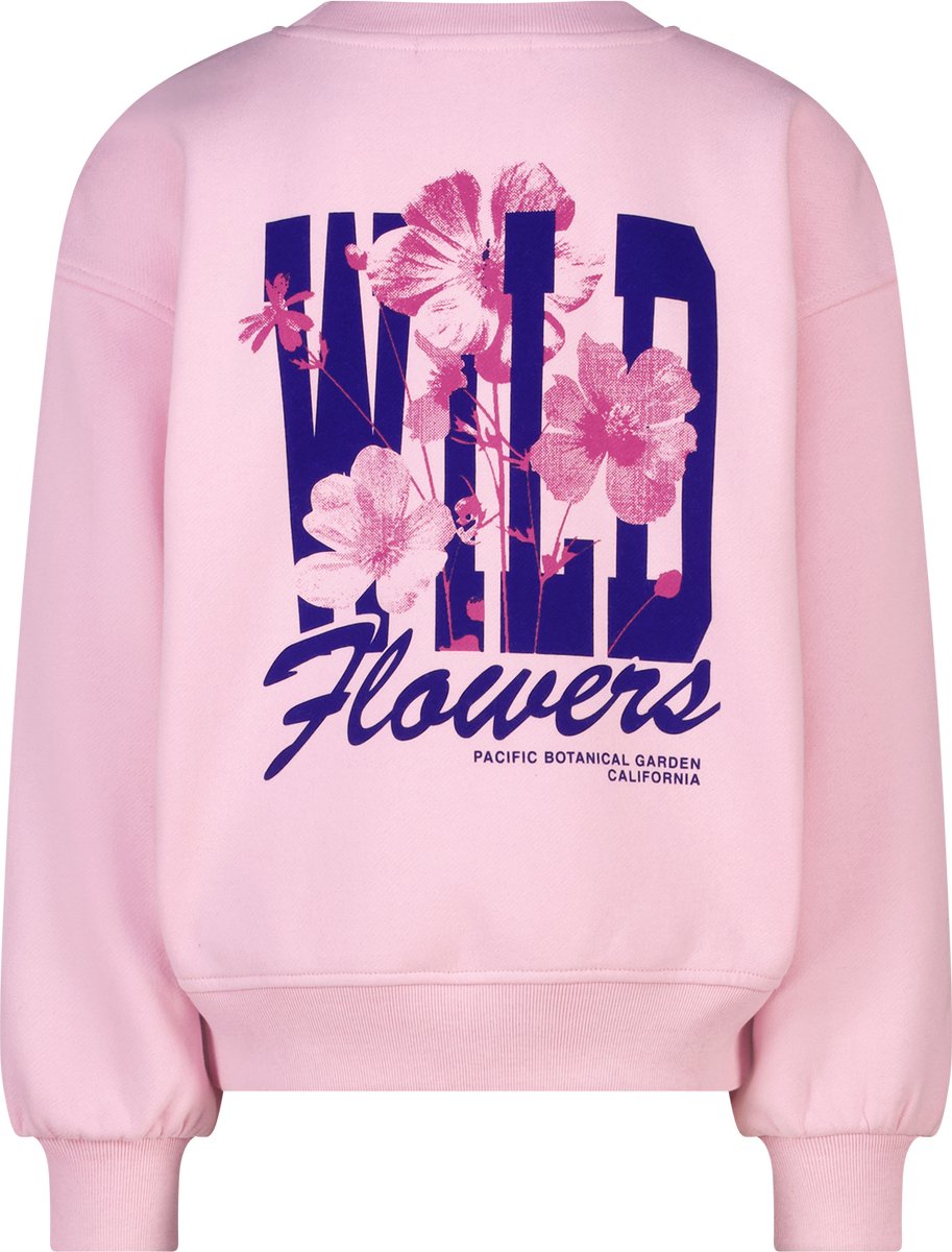 Sweater Shelby Jr