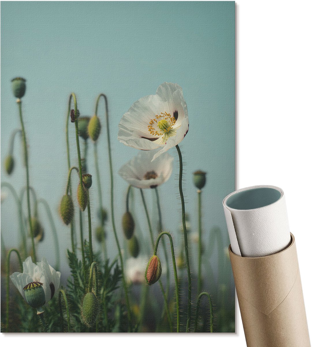 Coloray Canvas Poster Polycanvas - Beweging En Energie, Rood - A4 - Groen Patroon - Rechthoek - Decoratieve poster - Kantoor - Klassiek