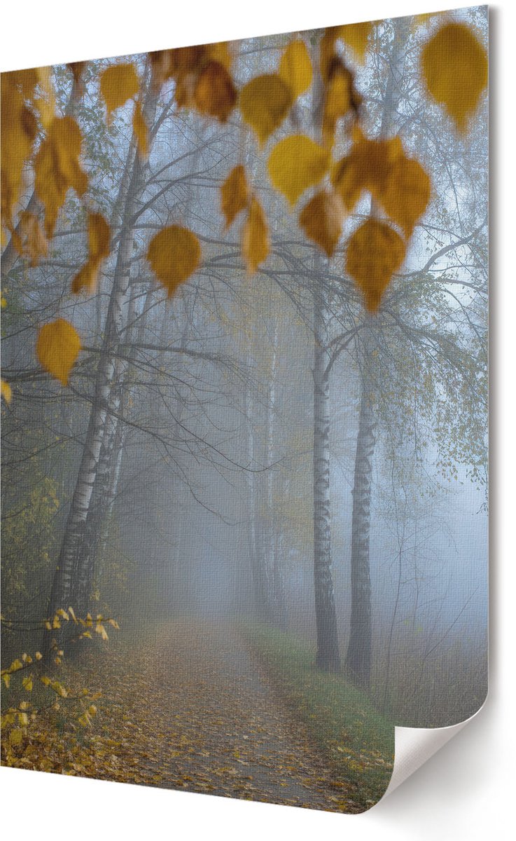 Coloray Polycanvas Wandposter - Herfstbos, Fotografie - 420 x 594 - Geel Wanddecoratie - Rechthoek - Wandkunstwerk - Woonkamer, Slaapkamer, Kantoor - Klassiek