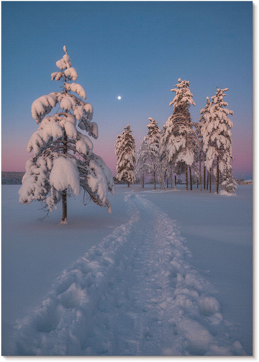 Tulup Polycanvas Wandposter - Winterlandschap, Fotografie - A4 - Wit Wanddecoratie - Rechthoek - Canvasposter - Woonkamer, Slaapkamer, Kantoor - Klassiek