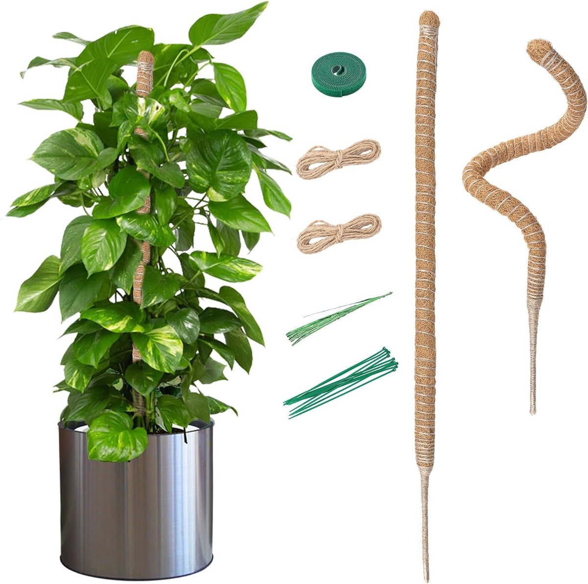 Set van 2 flexibele 70 cm kokosfoam stokken voor klimplanten met bevestigingen, ideale klimondersteuning voor monstera, pothos en andere kamerplanten