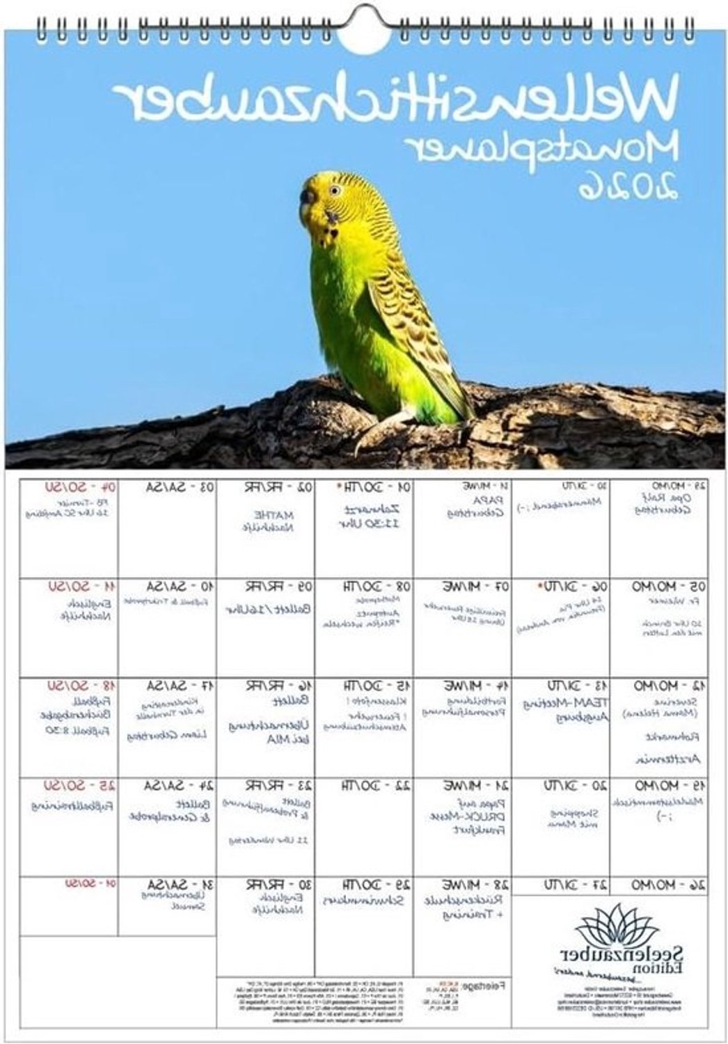 Parkietenkalender - Wandplanner met vogels - Afspraken plannen - Inclusief cadeauhanger - A3-formaat - Multicolor