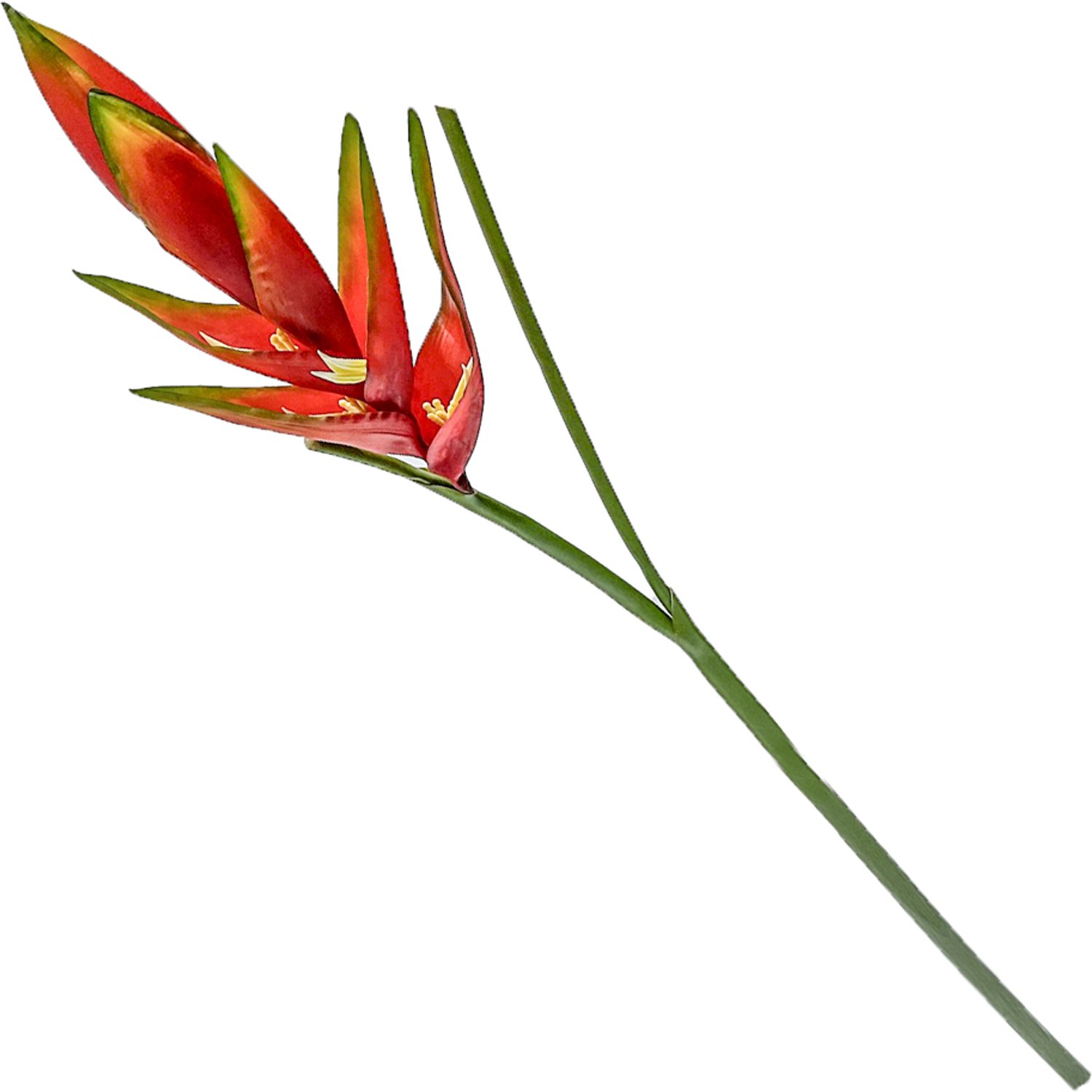 homebound by ky Kunstbloem Heliconia rood | kunstbloem