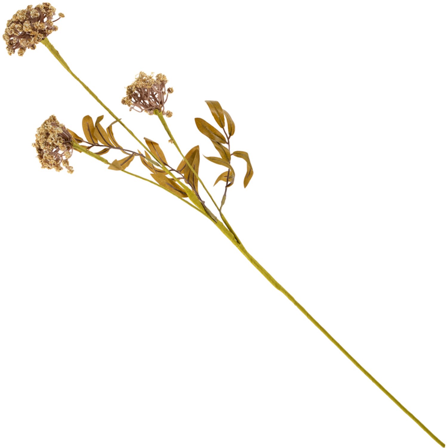 Veldboeket skimmia 80cm beige