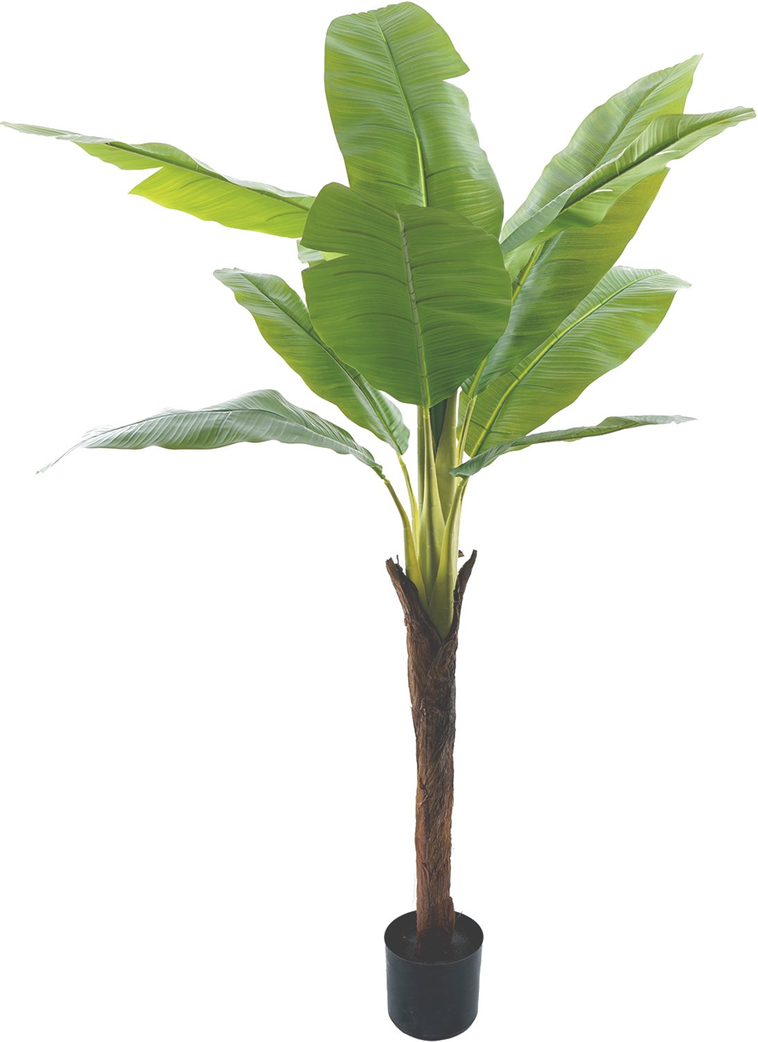 homebound by ky Kunstplant bananenboom 180cm | kunstplant Groen
