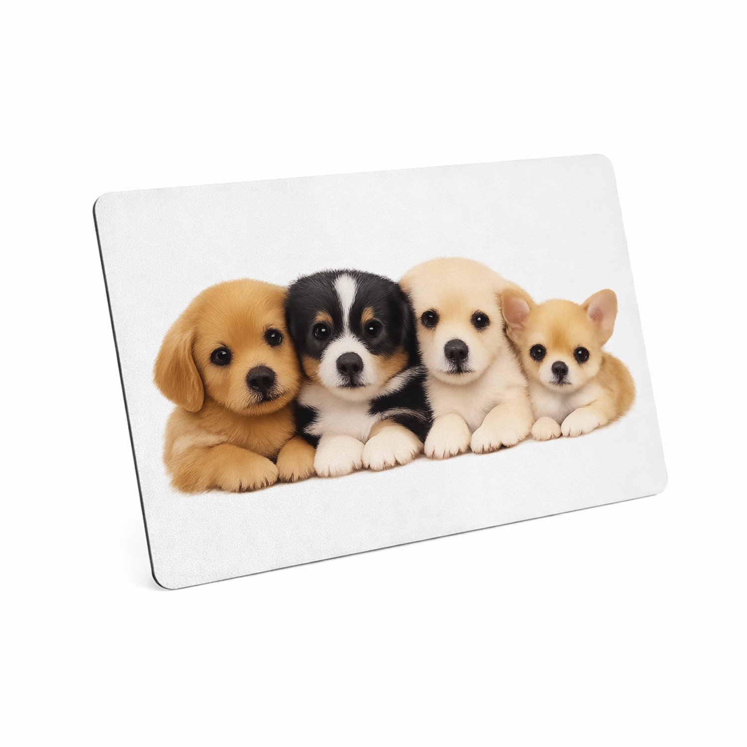 Mr Cadeautjes MDF magnetische fotolijst 28 x 19 - design Een vrolijke, zachte dierenprint met een compacte groep jong | cadeau Wit