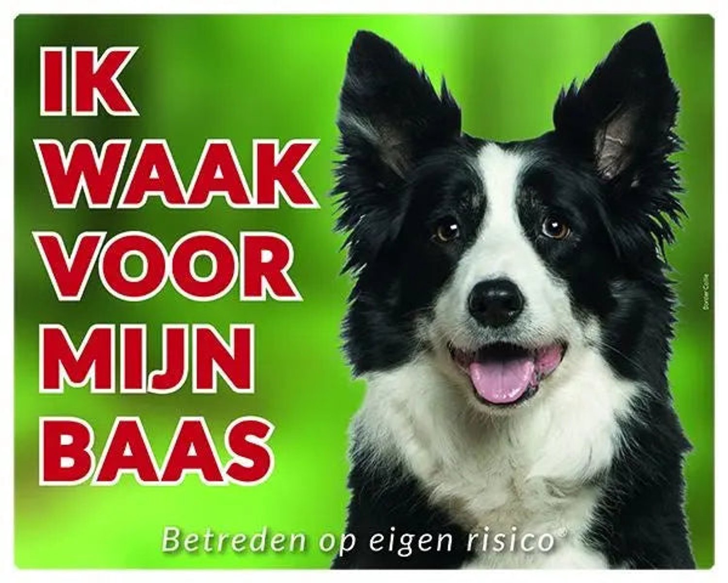 Bol.com Border Collie Waakbord - Ik waak voor mijn baas aanbieding