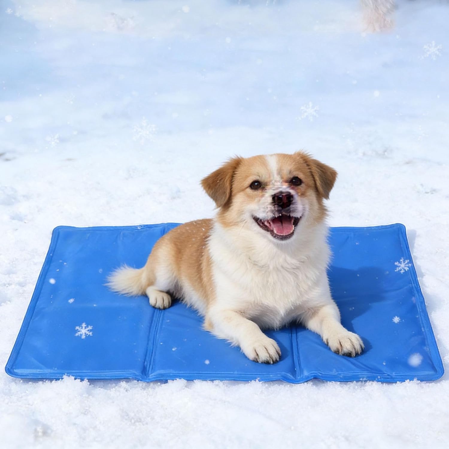 Famanu - Koelmat voor honden en katten - voorkomt oververhitting - zelfkoelend - 65 x 50 cm