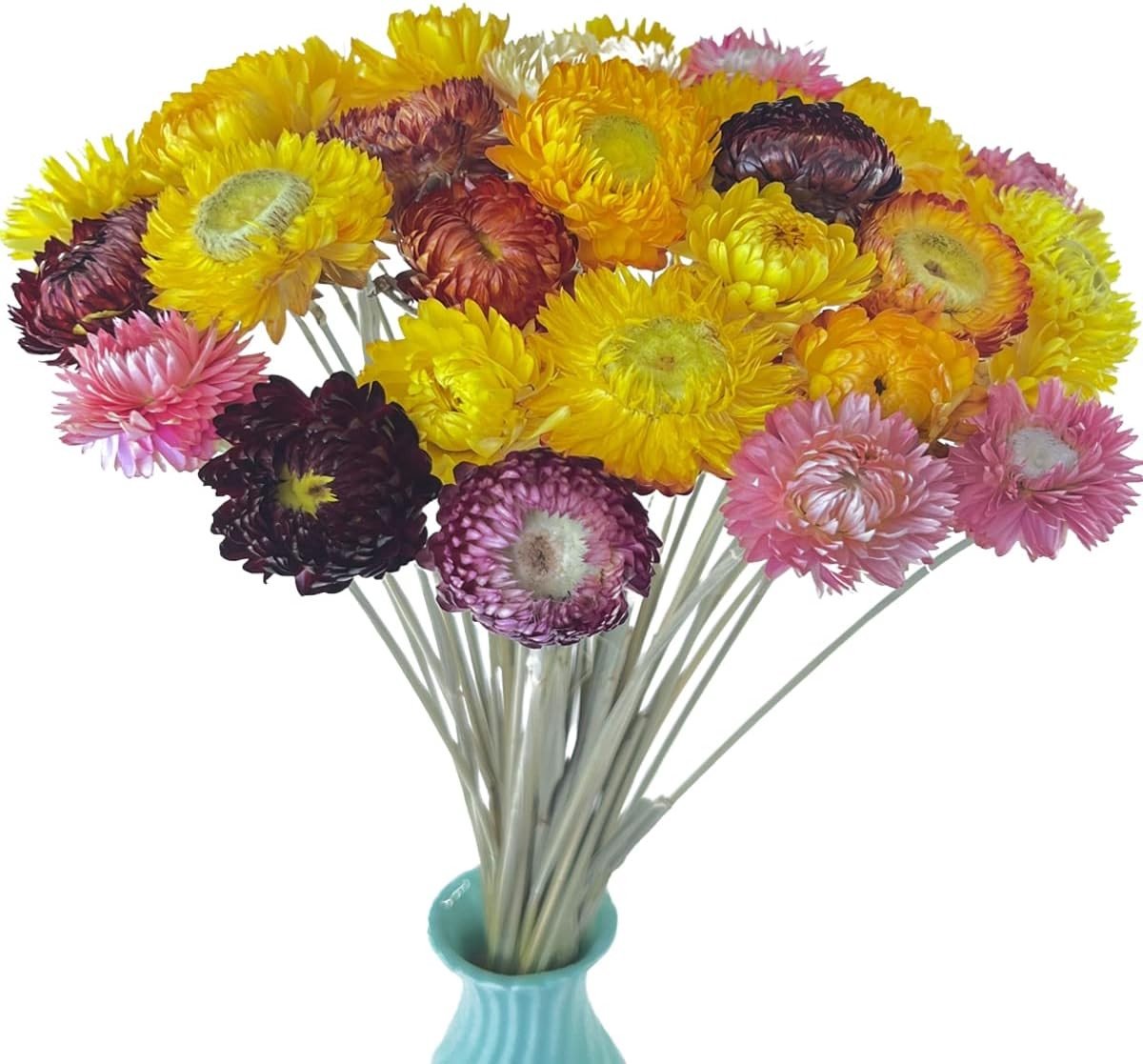 40 Stuks Natuurlijke Gedroogde Margrieten, Boeket met Steel voor Bruiloft, Thuisdecoratie en DIY Bloemarrangementen