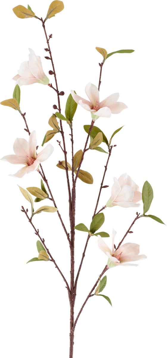Easyplants | Kunstbloem Magnolia 94 cm creme/bruin | Zijde | Nepbloemen | bruin | Onderhoudsvrij | Kant-en-klaar