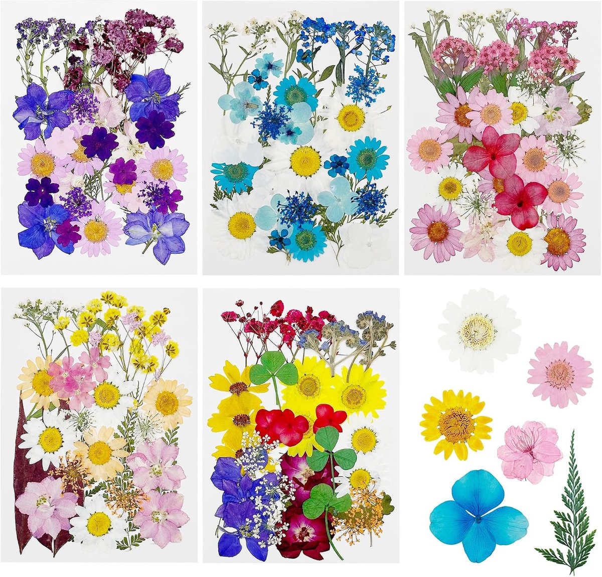 170 Stuks Natuurlijke Gedroogde Bloemen en Bladeren voor Hars, Scrapbooking en Sieraden maken, Diverse Kleuren en Stijlen