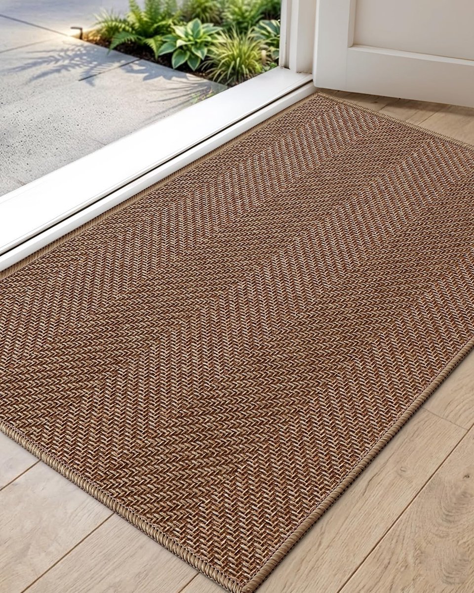 Famanu Absorberende deurmat, ultradun, 61 x 91 cm, kokosbruin, machinewasbaar, antislip voor binnen Neutraal