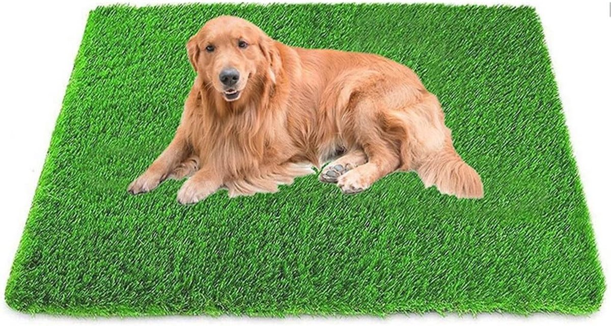 Kunstgras Tegels - Honden Toilet - Huisdier Training - Waterdoorlatend Ontwerp - 35x46 cm - Groen