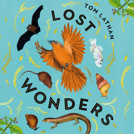 Lost Wonders - cover
