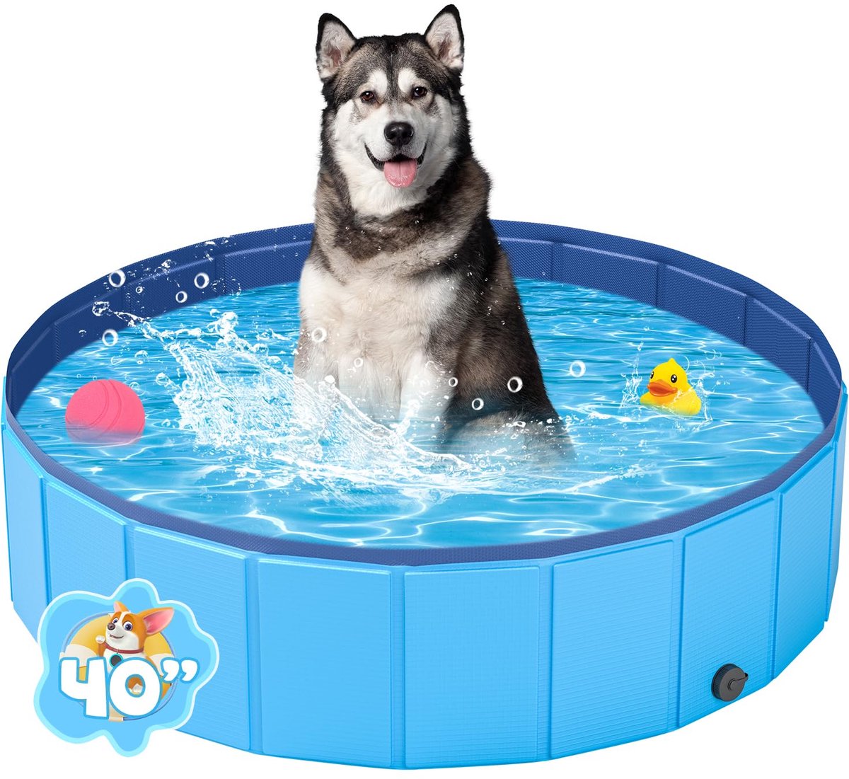 Dailygoods - Opvouwbare Hondenbadkuip van Hard Plastic, Dierenzwembad voor Badderen en Spelen