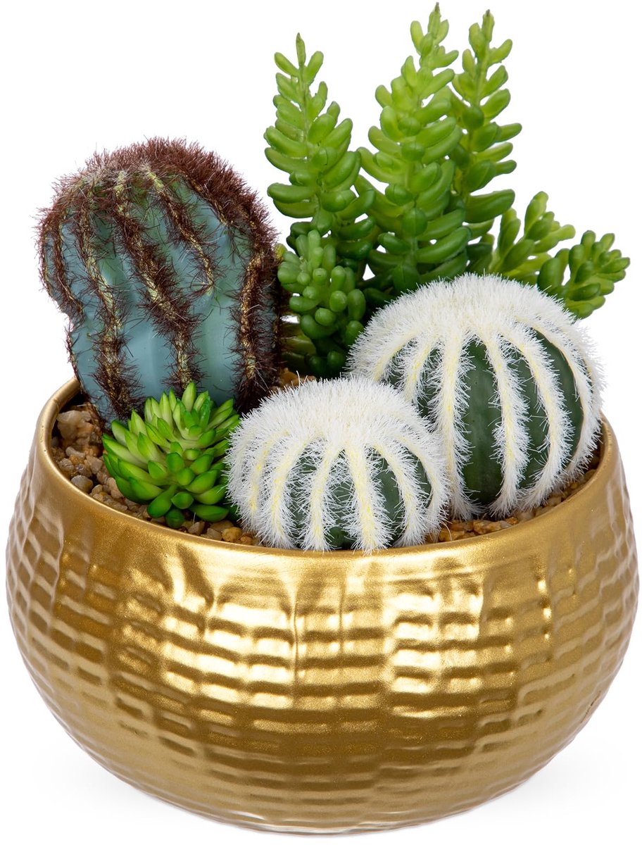 SnelShoppen - Kunstmatige Cactusplanten Binnen - 17,8 cm Geassorteerde Faux Vetplanten in Potten - Nep Potbureau Plant met Gouden Kom - Mini Vetplante