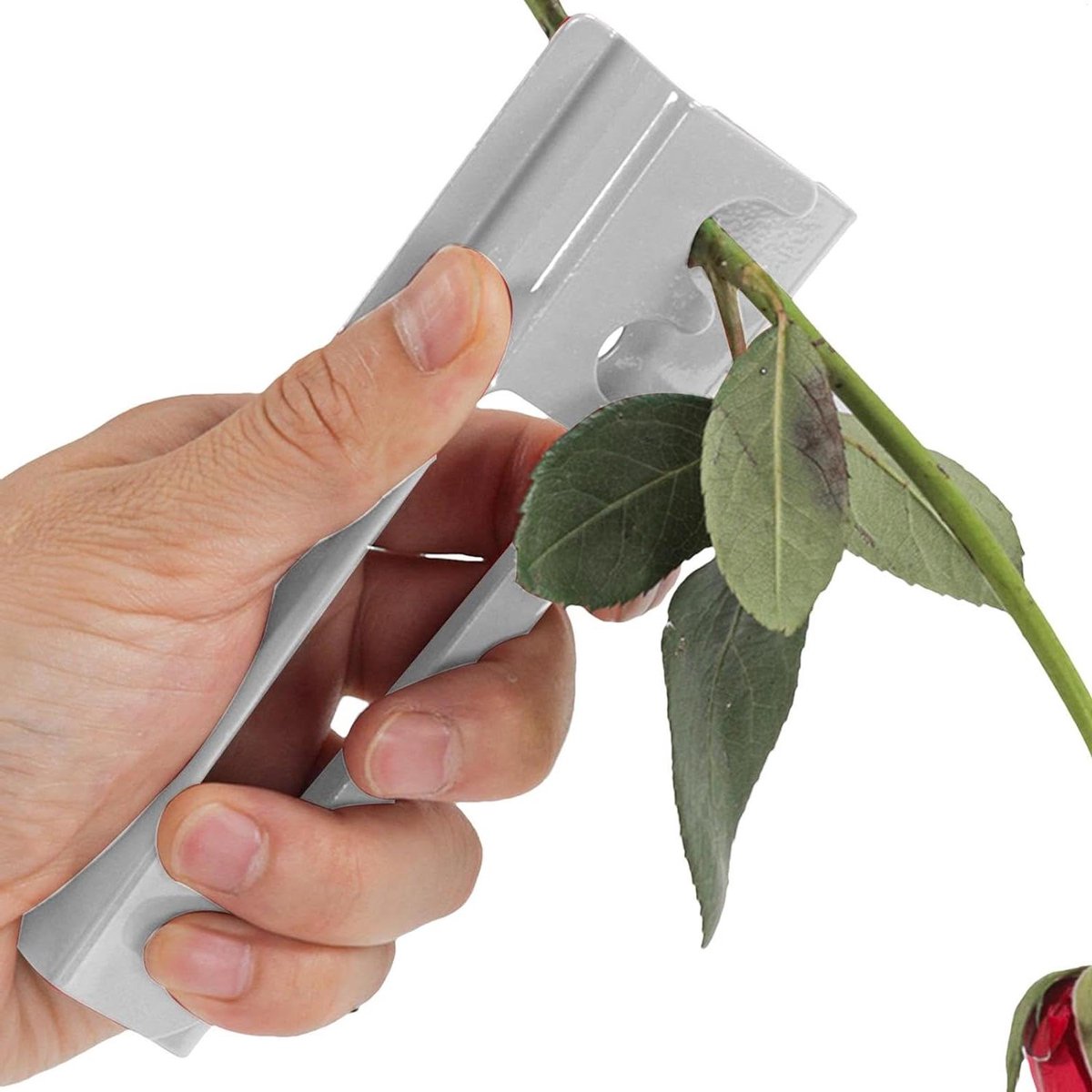 Rozen Ontdoener - Bloemen Tool - Bloemen Schikken - Dubbele Efficiëntie - 1 Stuk - Zilver