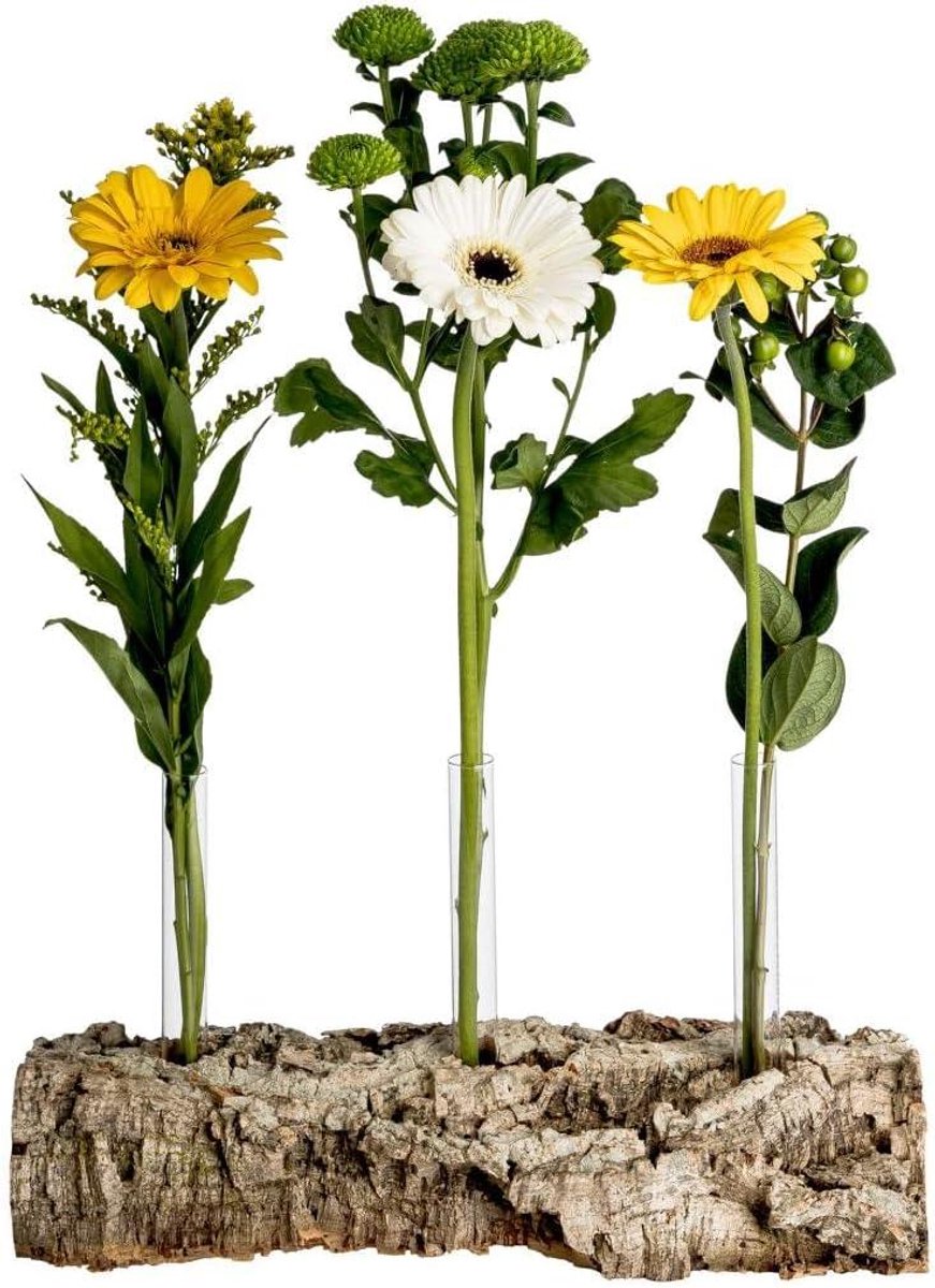 Bloemenvaas Kurkrind - Decoratie Vaas - Huis Decoreren - Natuurlijk Onbehandeld Product - 15 x 30 cm - Kurk