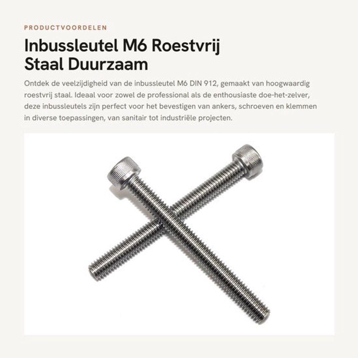 Inbussleutel M6 roestvrij staal A2-70 - Schroeven - Klemmen - Industrie - Doe-het-zelf - Hoogwaardige kwaliteit - Sleutel