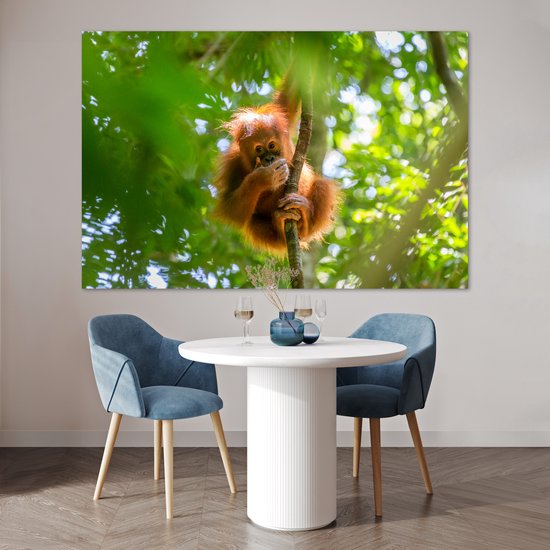 Gros plan d'un singe dans un arbre 180x120 cm XXL / Groot format!